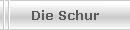 Die Schur