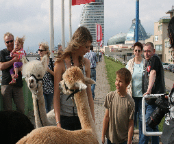 Chiletag in Bremerhaven 2010